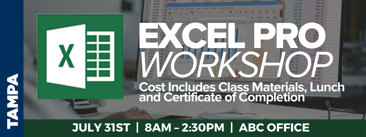 Image for Excel Pro Workshop